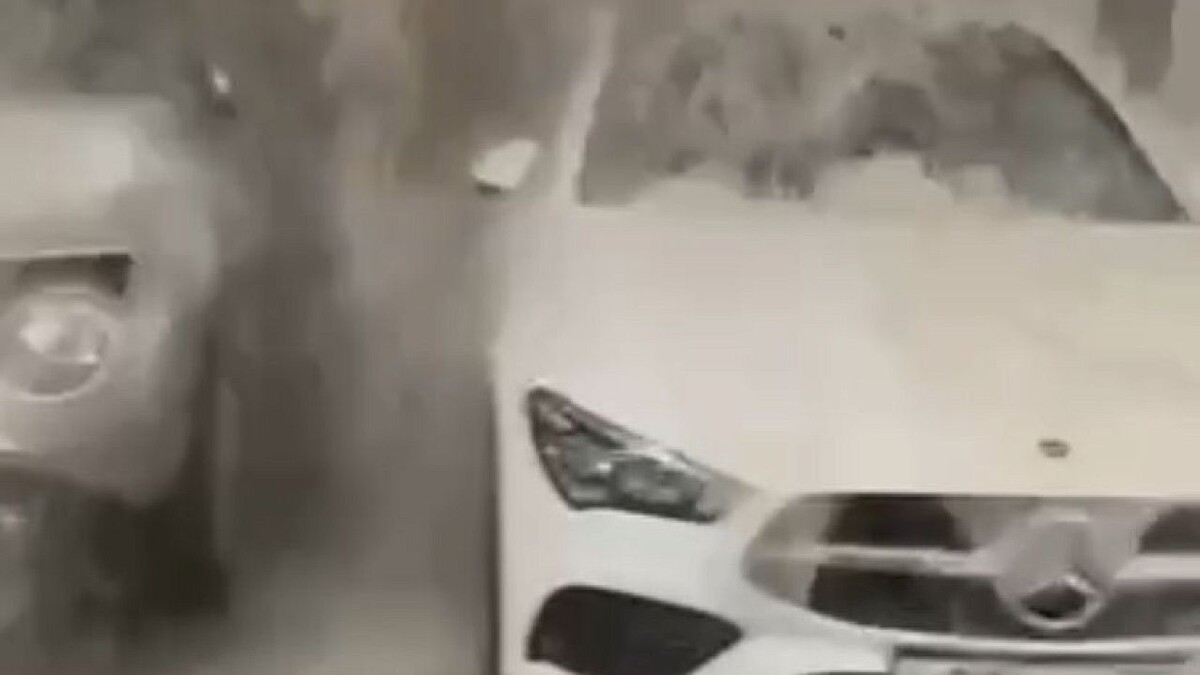    Фото: t.me/shot_shot