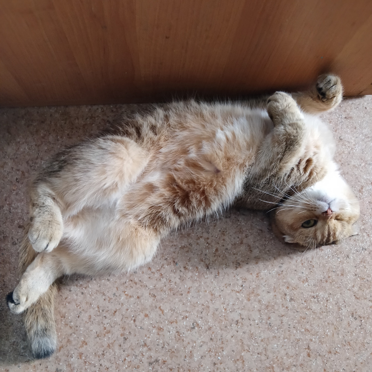 А может она просто хотела задобрить меня, чтоб я с ней поиграла, вот и подложила мне конфету. Угостила, так сказать