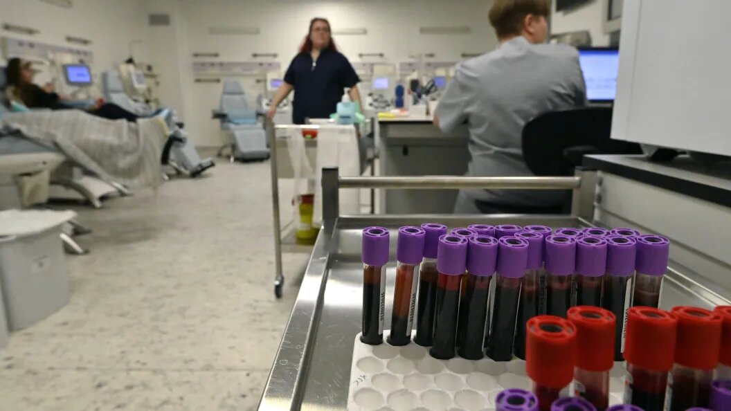    Фото: Serhii Chuzavkov/Keystone Press Agency/Globallookpress