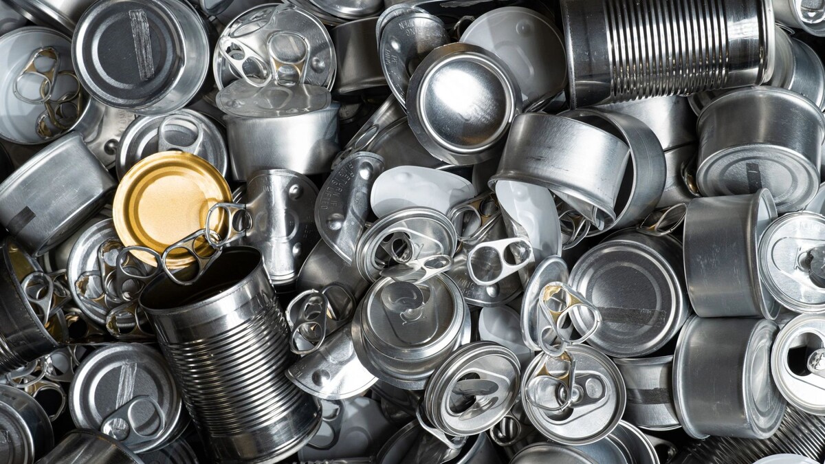    Фото: Golden Shrimp/Shutterstock/Fotodom