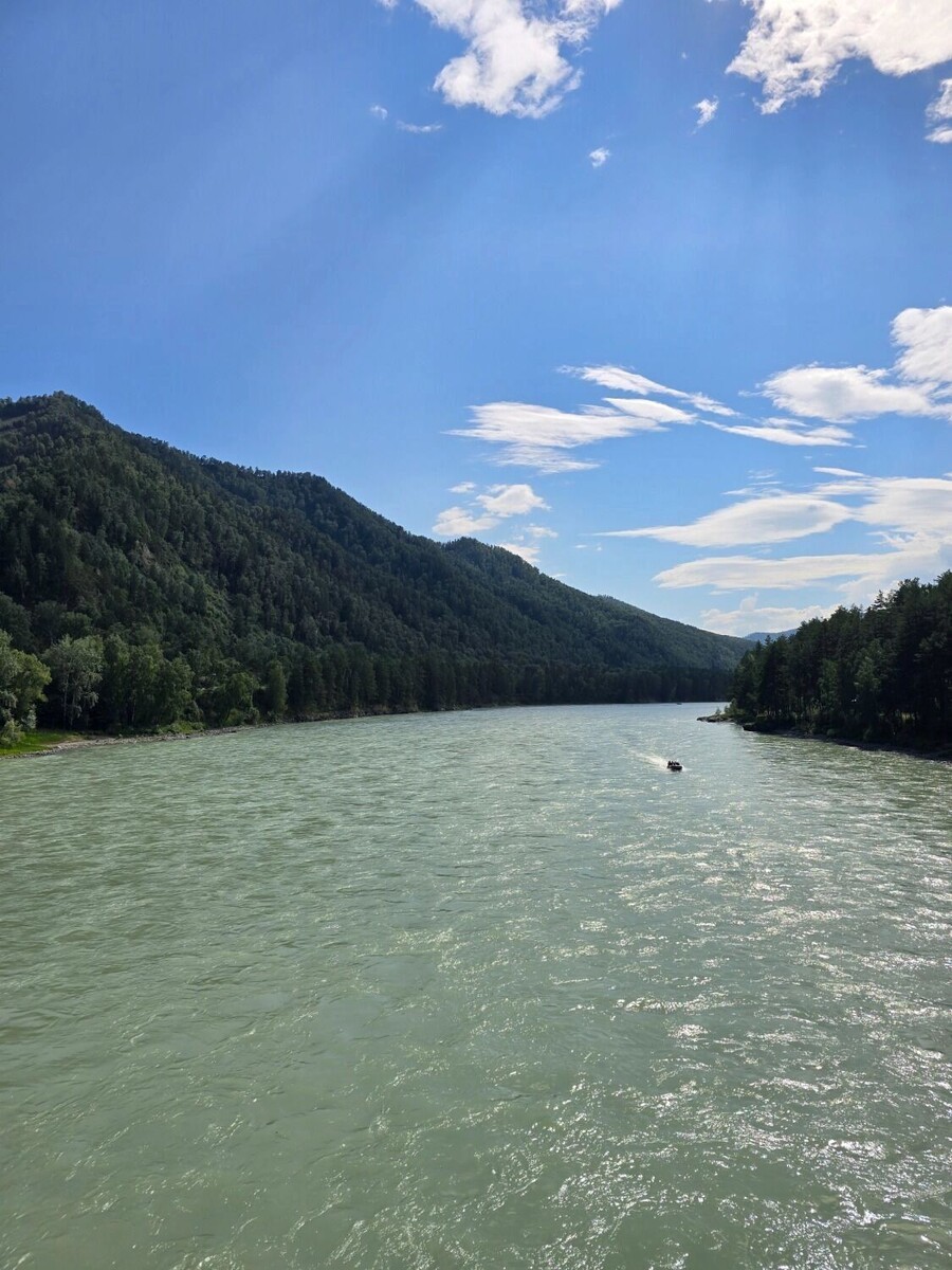     Источник: newstracker.ru