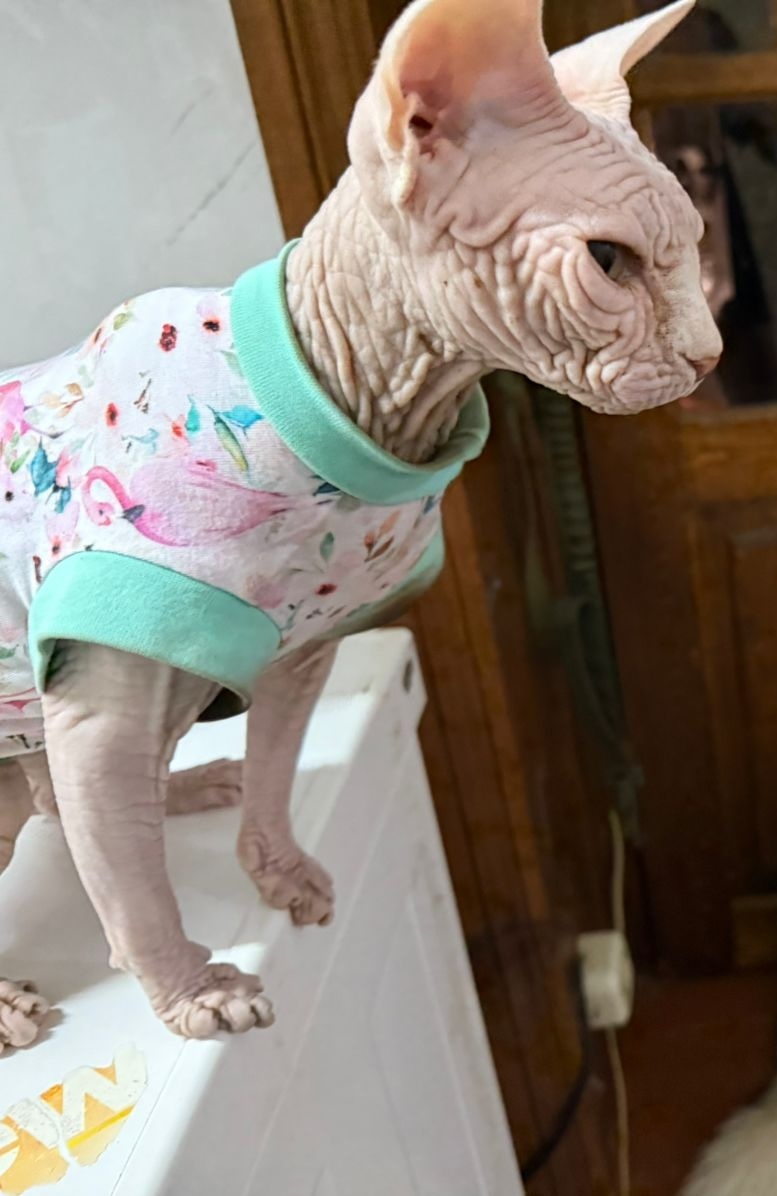 Клепа
Фото: из личного архива