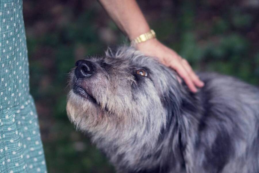 Фото: Simone Dalmeri / Unsplash.com