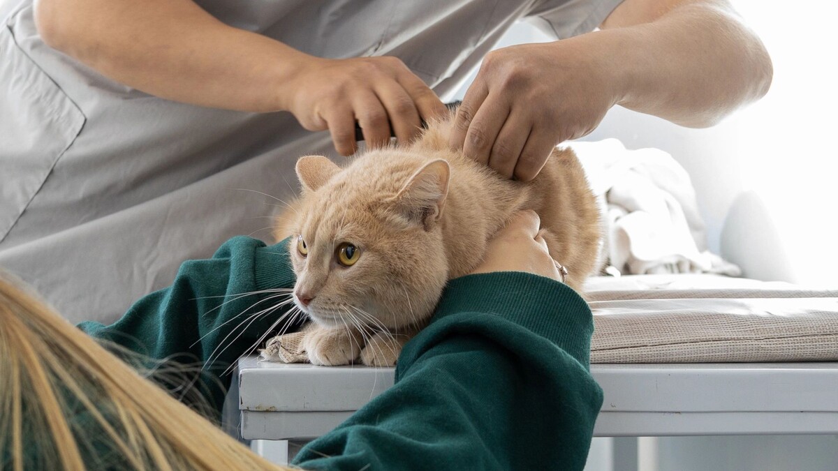   Фото: Фёдор Воронов / «Ямал-Медиа»