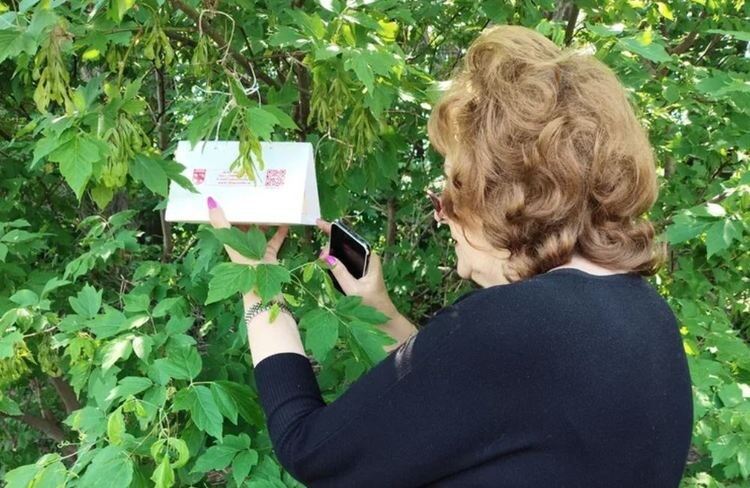    Феромонные ловушки в ЛНР работают на благо фермеров и простых садоводов