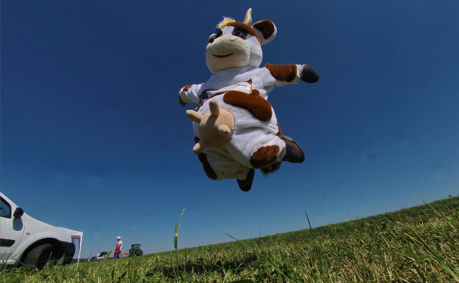    © Анастасия Илюшина / ЛенТВ24