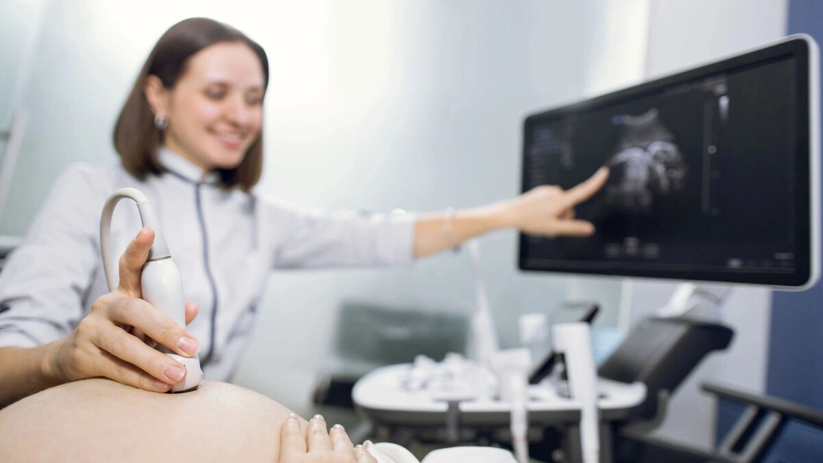    Фото: Desizned/Shutterstock/Fotodom