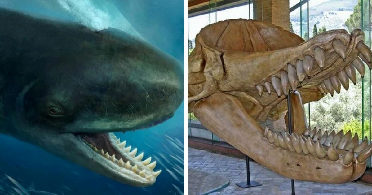 ReturntoPleistocene / SeriesOfAdjectives