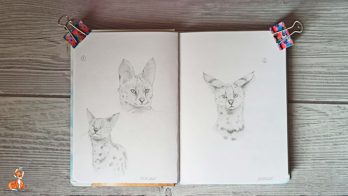 Разворот 1: 3-4 июля, Сервалы