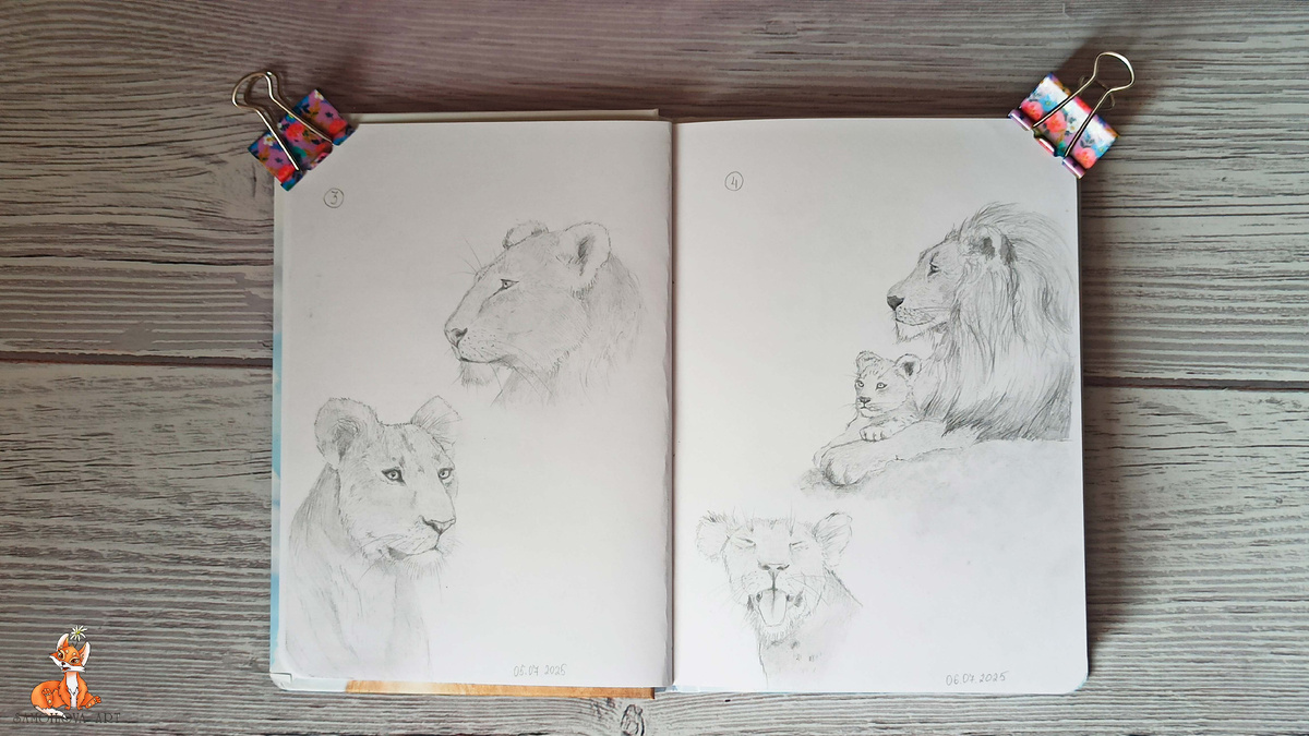 Разворот 2: 5-6 июля, Львы