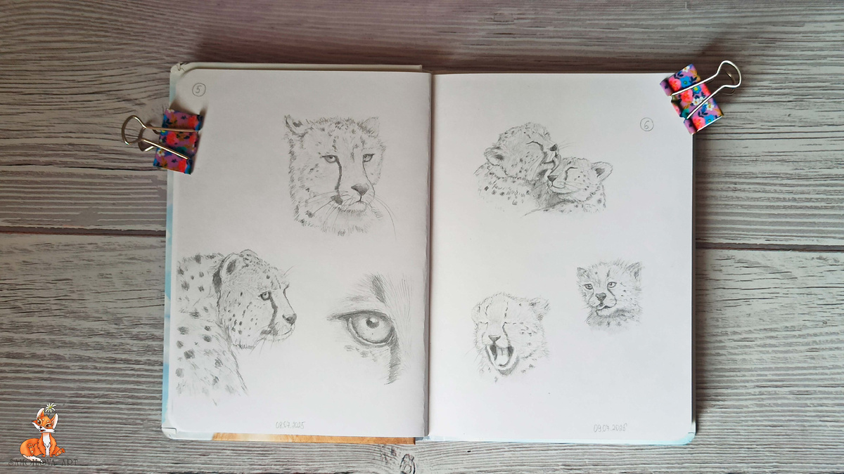 Разворот 3: 8-9 июля, Гепарды