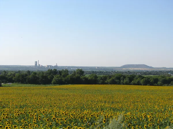 © Василий Стоякин
Пейзаж Донбасса. Поле. Шахта. Террикон