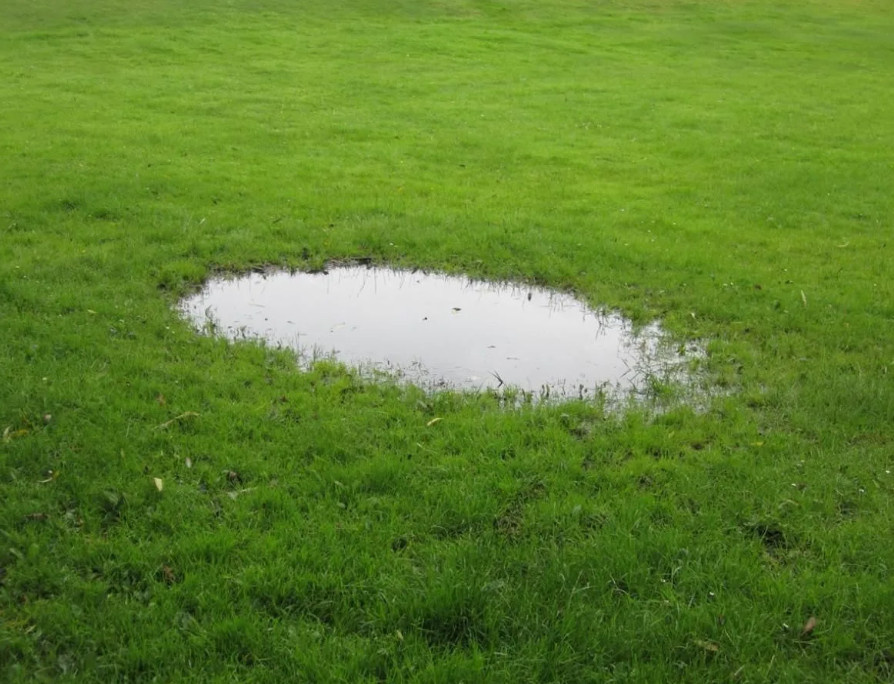 Все фото из интернета