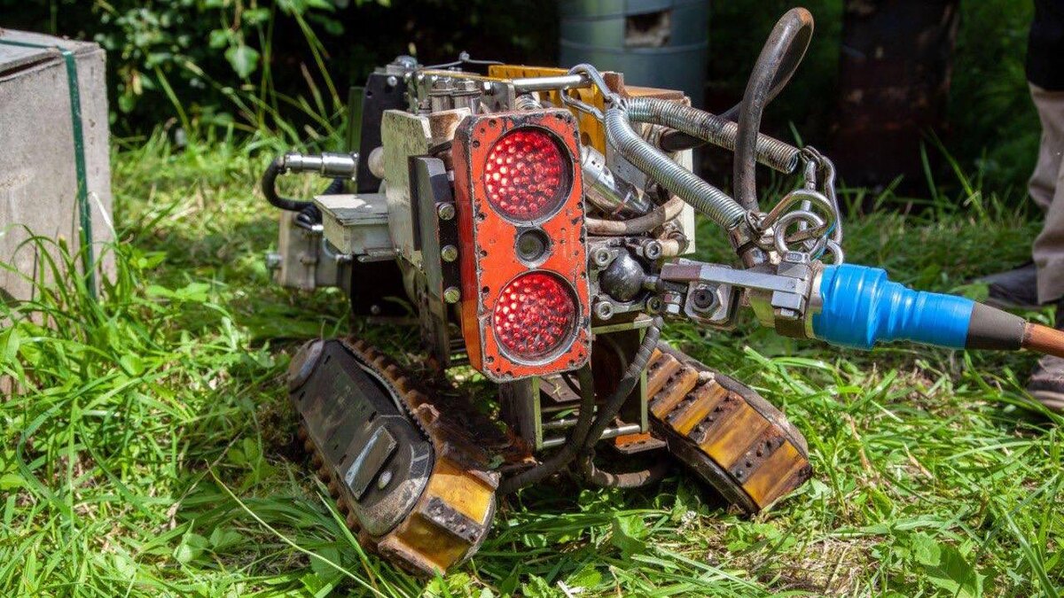    Фото: t.me/keio_spb