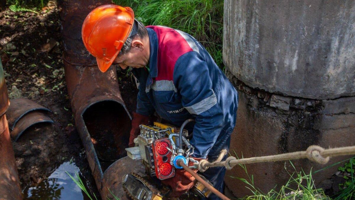    Фото: t.me/keio_spb