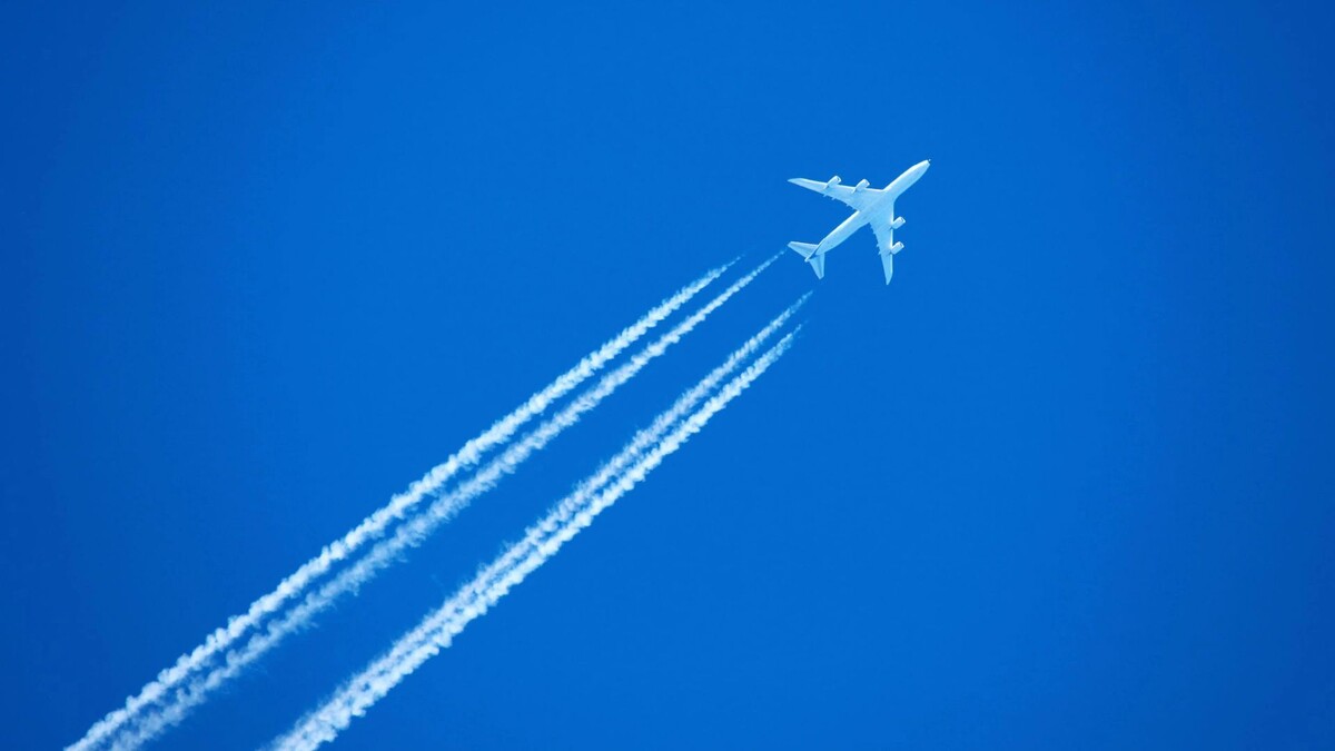    Фото: Dmitrijs Mihejevs / Shutterstock / Fotodom