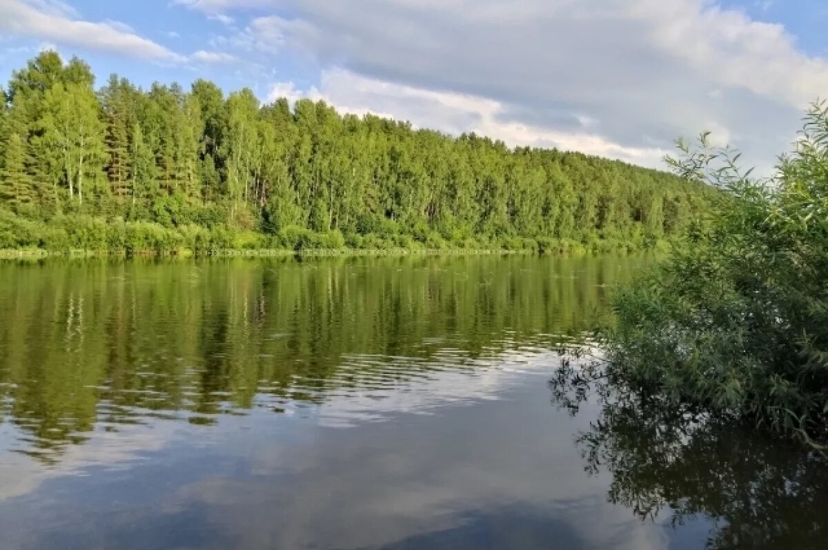    Мужчина едва не оглох после купания в речке из-за попавшей в ухо бактерии