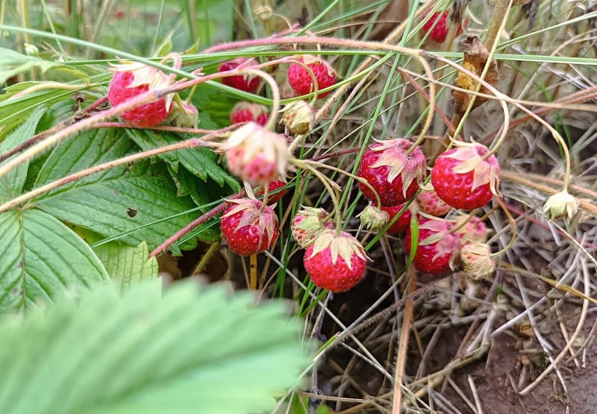 Фото: UfacityNews.ru