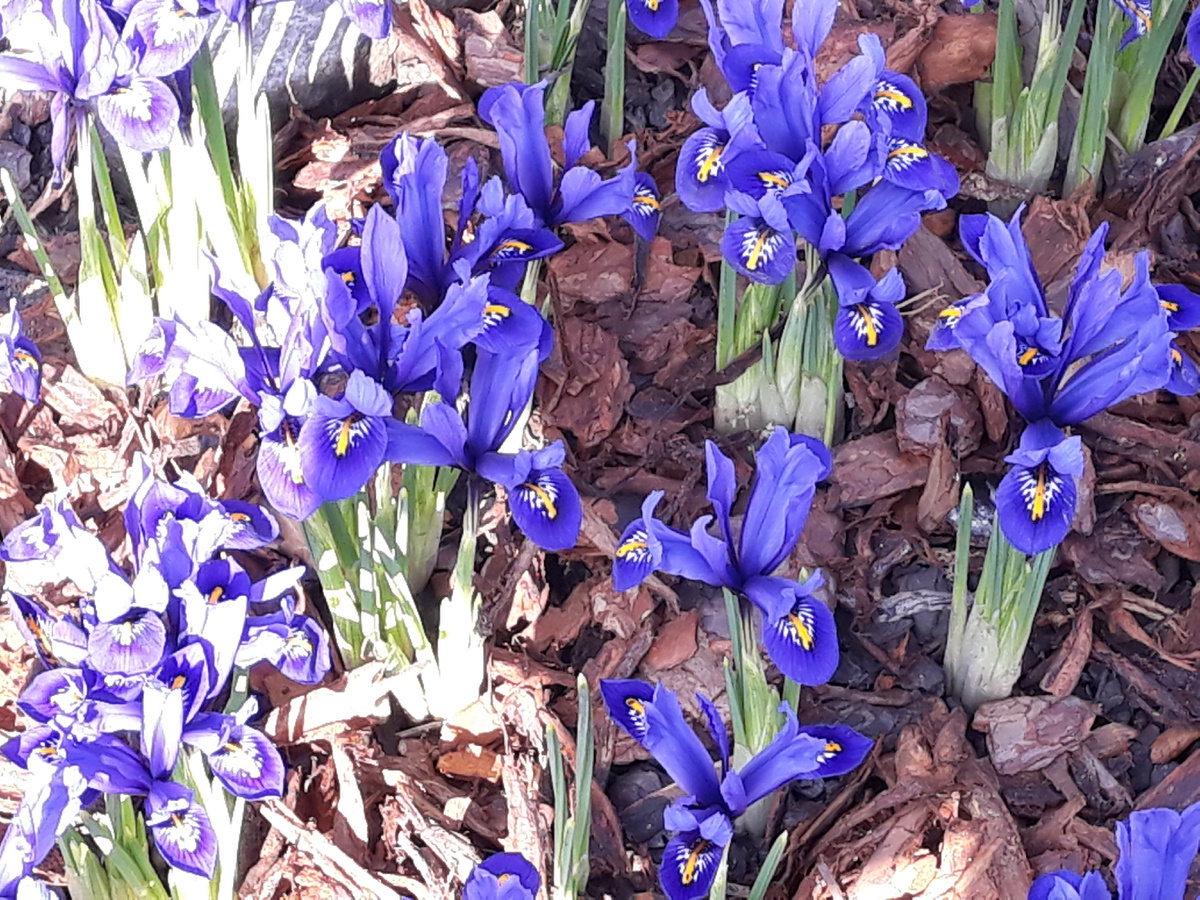 Фото автора.