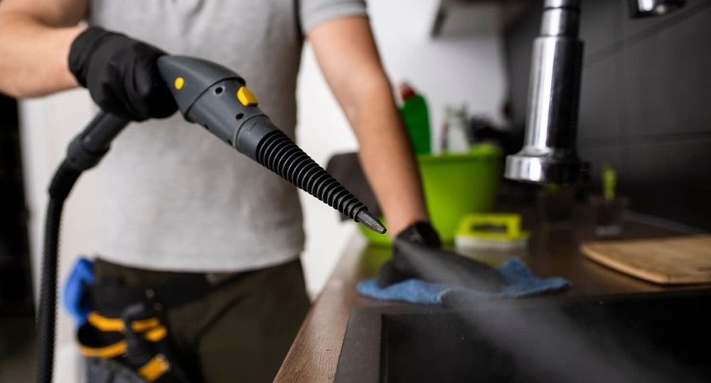 Помогает ли парогенератор от клопов: правда и ограничения