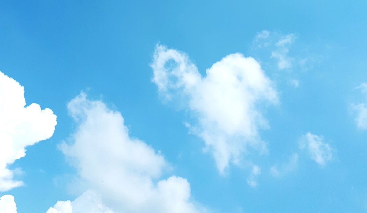 Фото автора статьи 15.07.2025г.