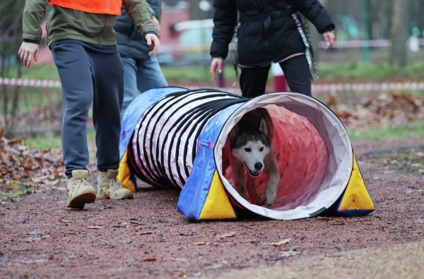 Фото: РИА Новости