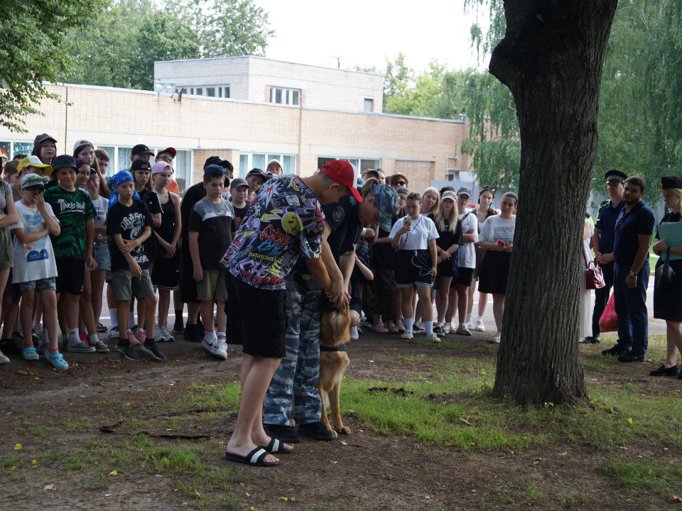     Фото: пресс-служба администрации Ленинского г.о.