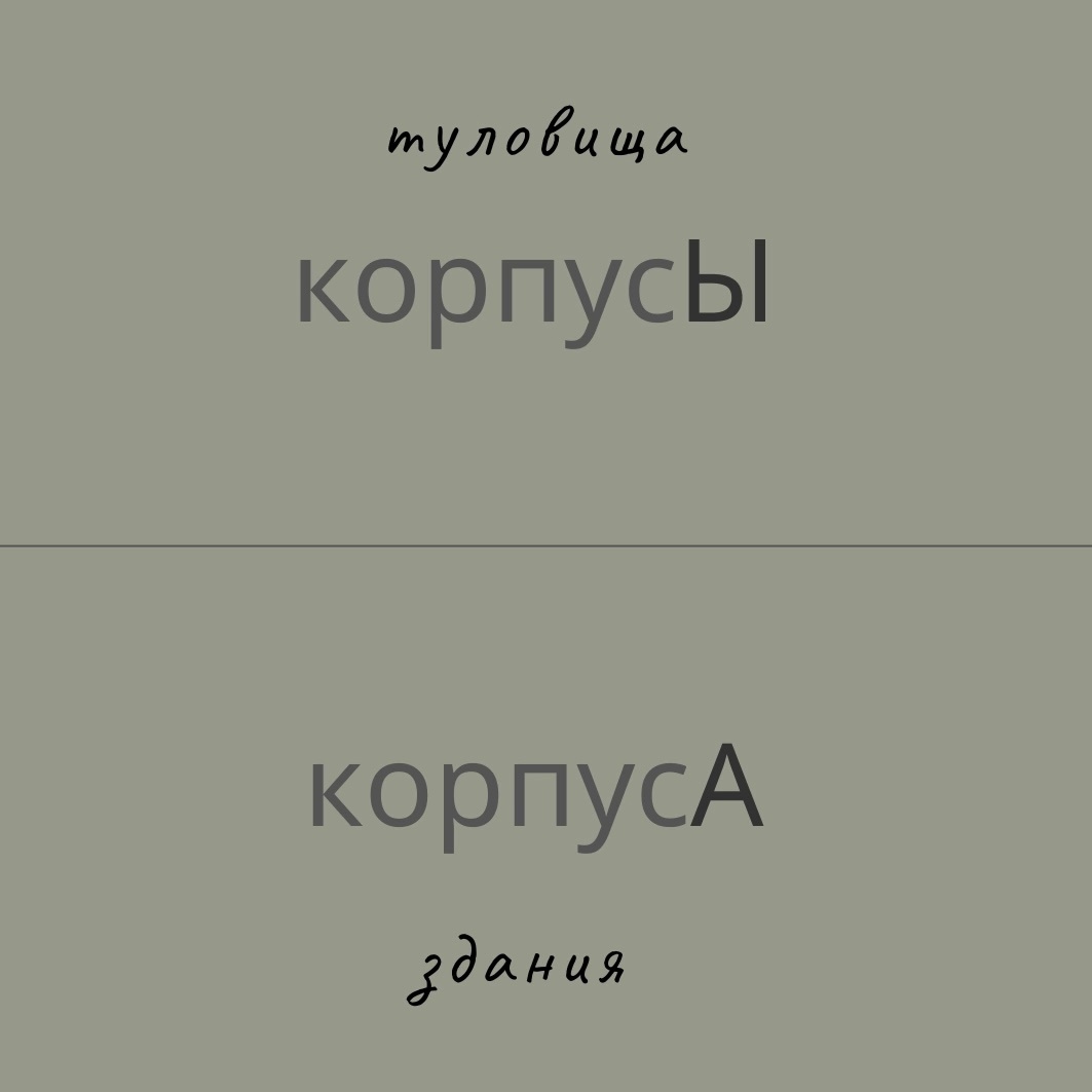 Корпуса / корпусы 