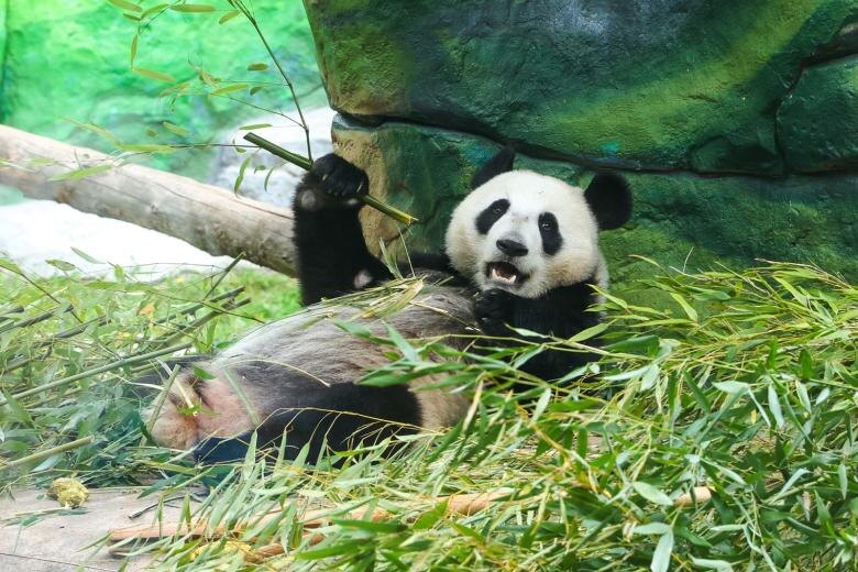    Наталья Шатохина/NEWS.ru