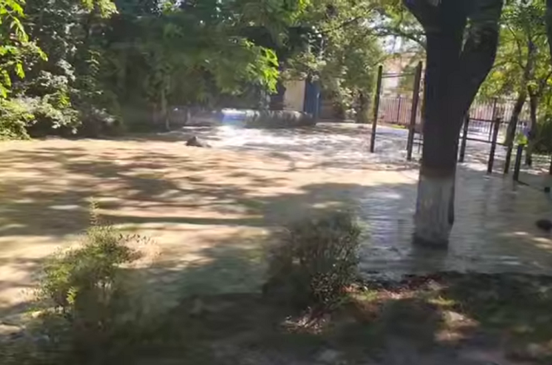    Фото: пресс-служба администрации Новороссийска