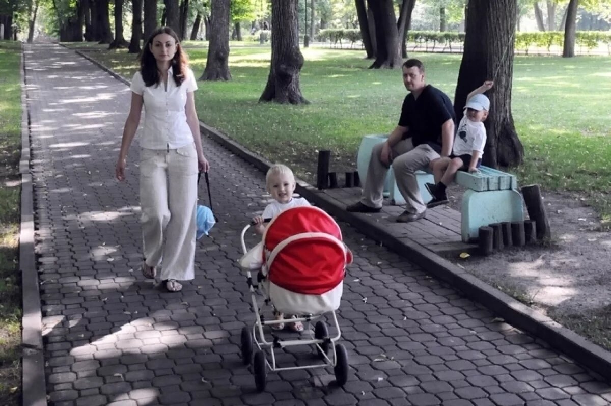    В парка и скверах Петрозаводска не обнаружили ясеневого жука-вредителя