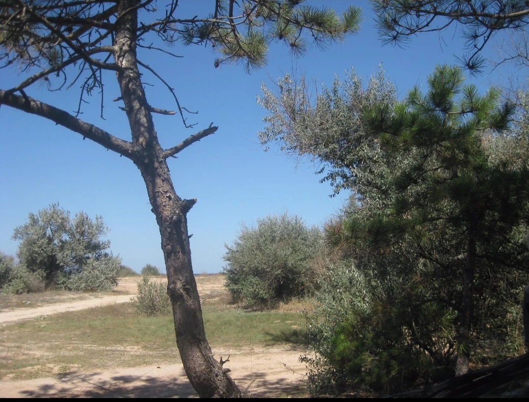 Ленинский район. Песочное