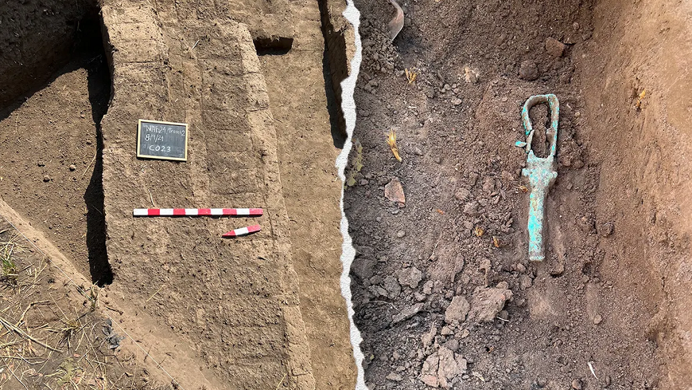     Фото: University of Manchester