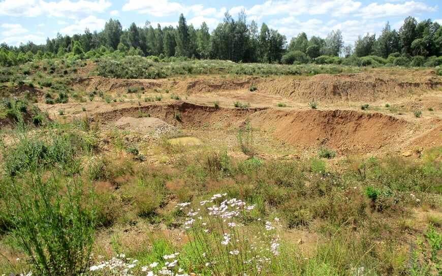    Фото: 32.fsvps.gov.ru Елена Воронцова