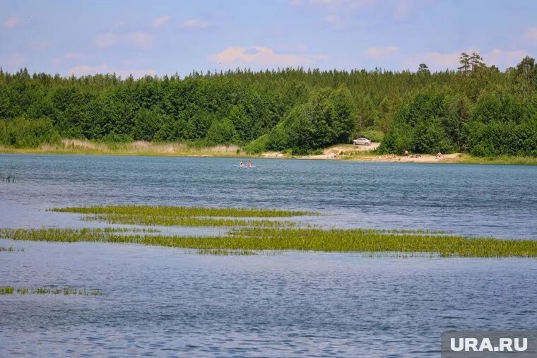 Местные жители боятся, что не справятся своими силами. Фото: Екатерина Сычкова © URA.RU