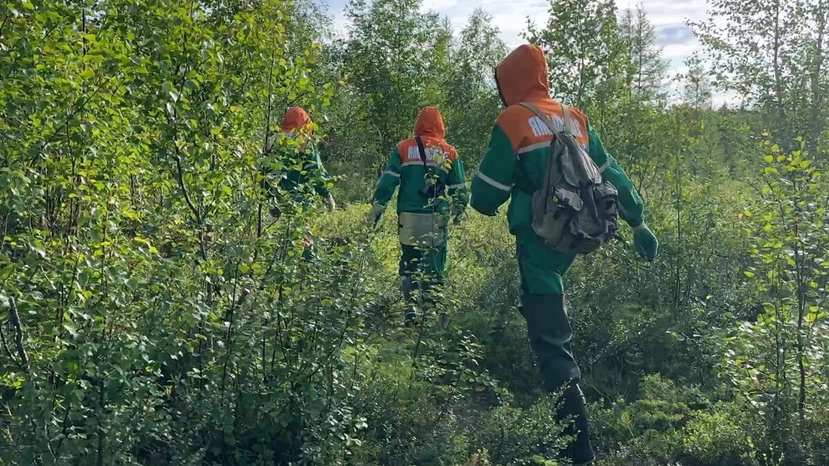    Спасатели ищут пропавшего жителя Салехарда. Фото: Вера Дронзикова / «Ямал-Медиа»