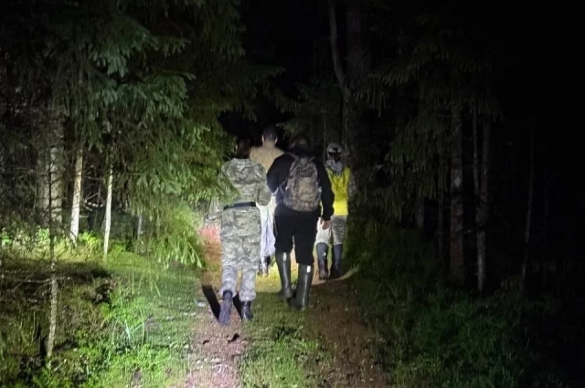    Волонтеры «Совы» искали 77-летнего Анатолия в лесу под Тверью