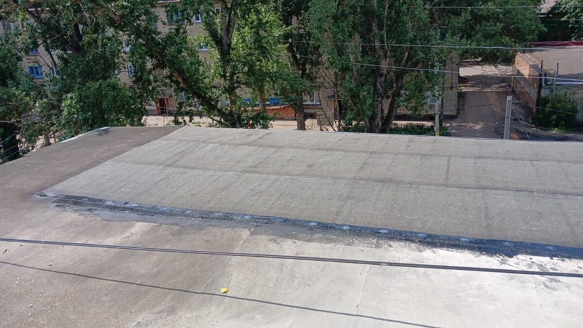 Фото: тг-канал Олеси Дворцовой