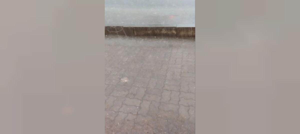    Фото: Владимир Мазенко