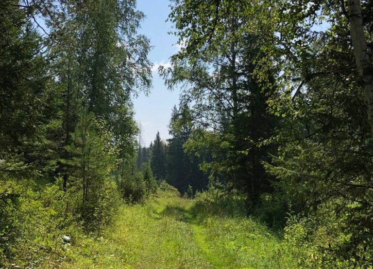    Фото пресс-службы прокуратуры Томской области Ольга Чистова