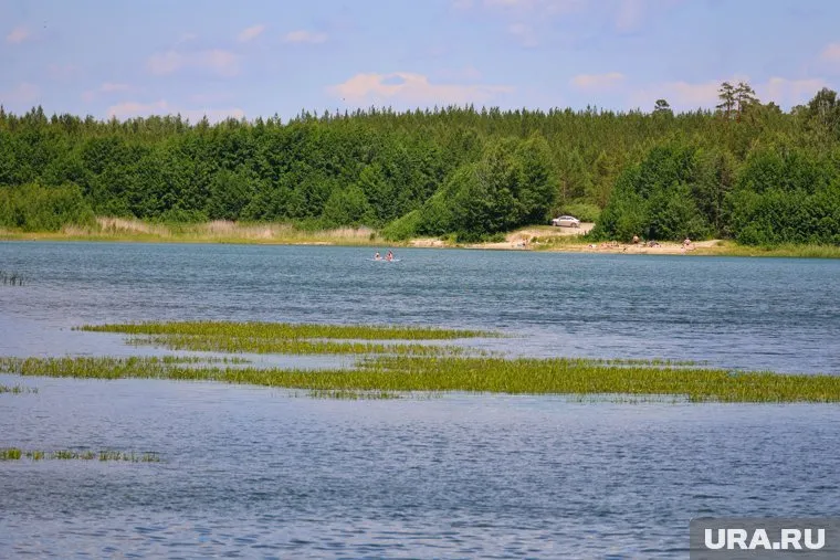 Местные жители боятся, что не справятся своими силами
Фото: Екатерина Сычкова © URA.RU