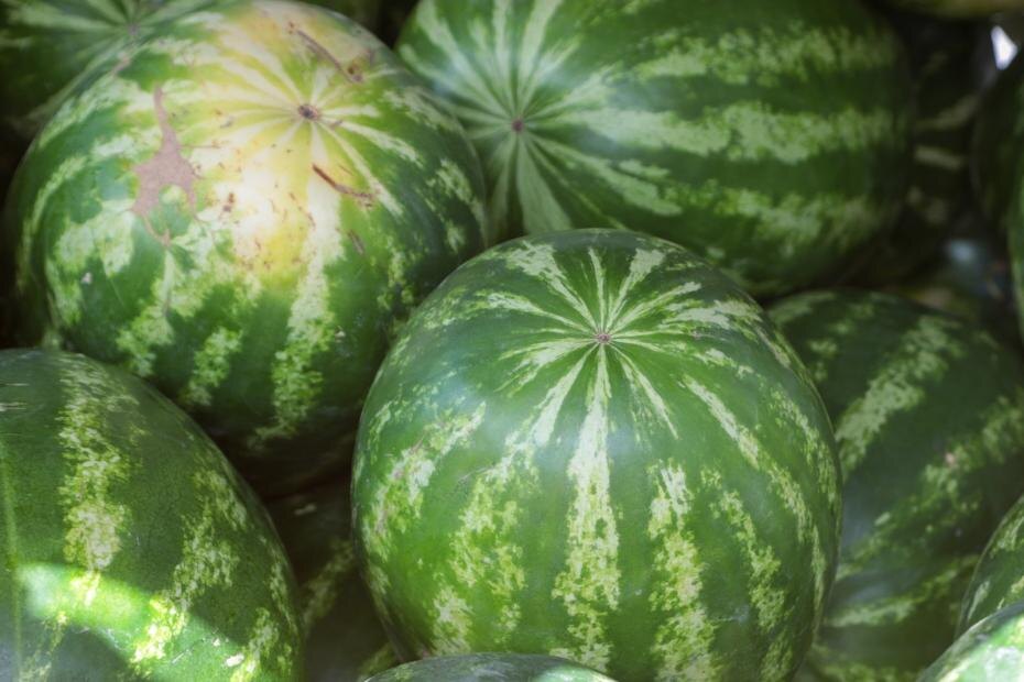    Алексей Белкин/NEWS.ru