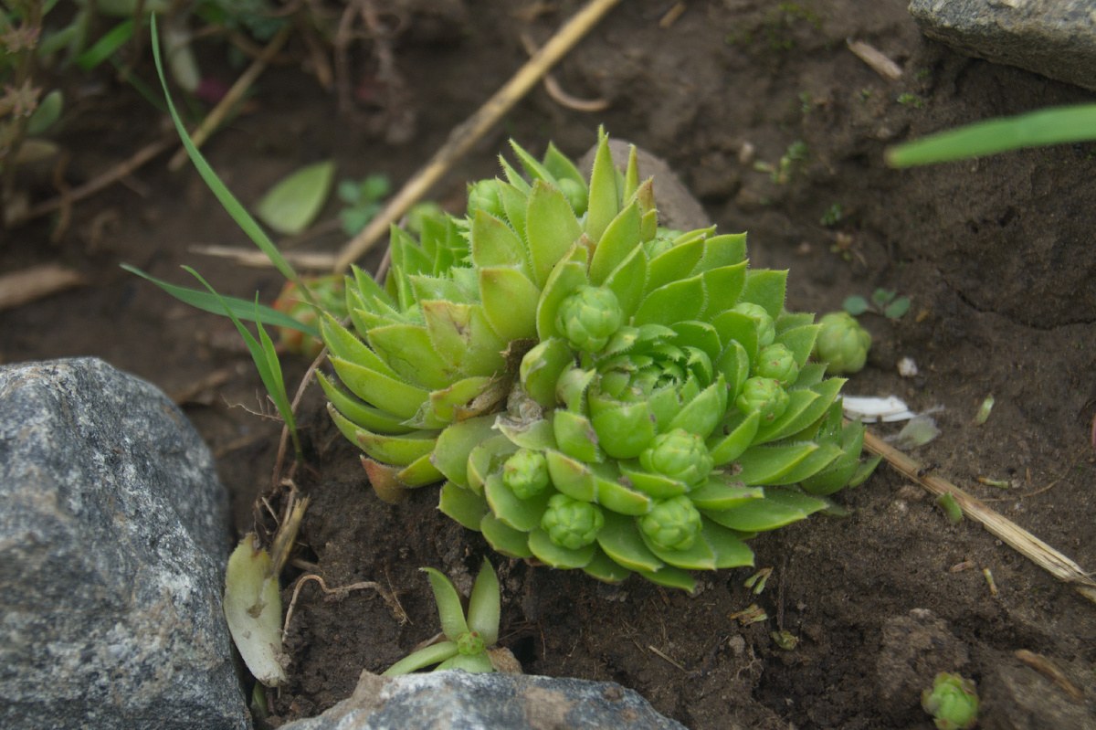 Смотреть все фото: https://stock.adobe.com/ru/contributor/210428044/Konstantin%20Sh