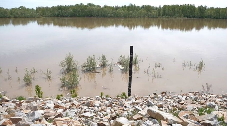    Река Бия изменила цвет. Источник: Сергей Кулыгин / "Бийский рабочий"