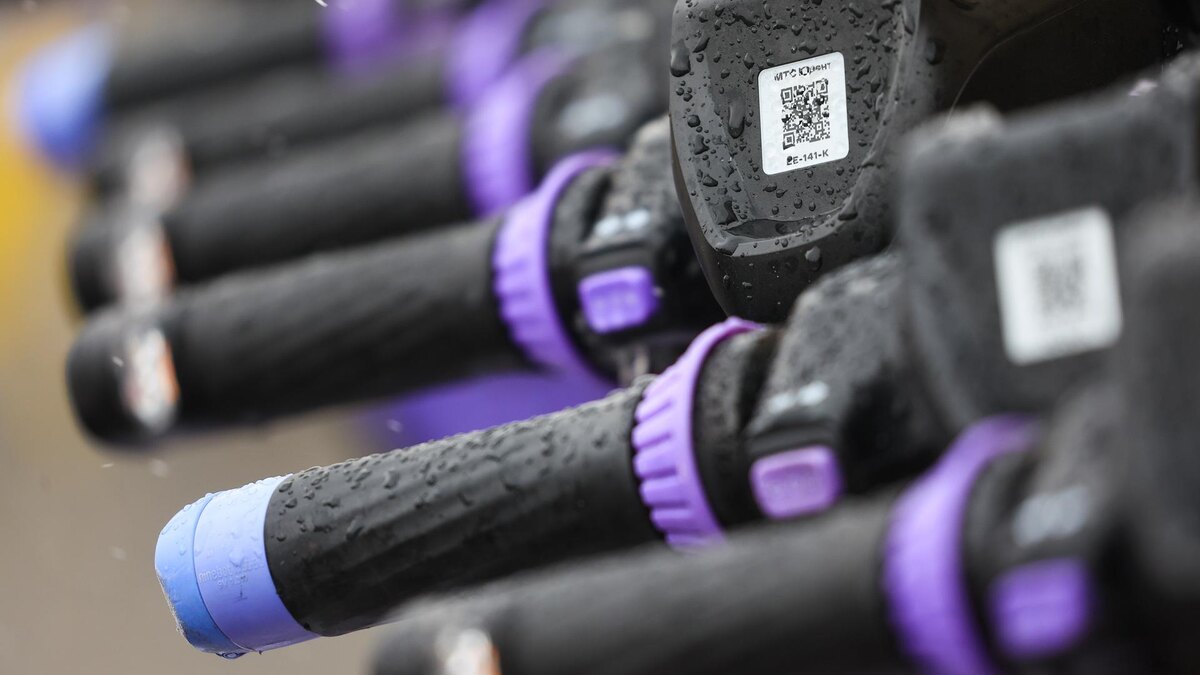    Фото: Shatokhina Natalia/globallookpress.com