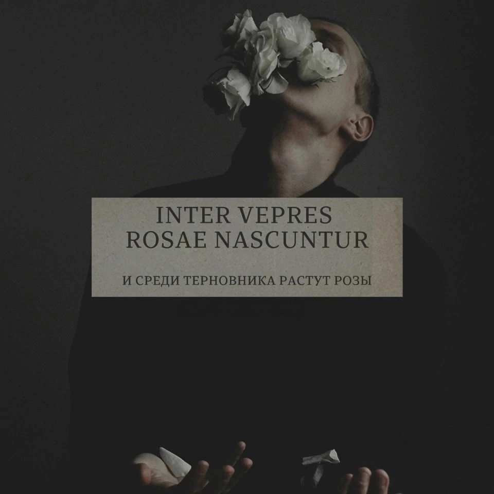 Взято в открытом доступе