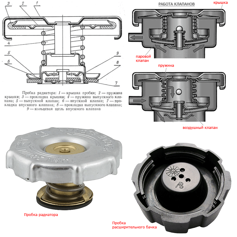 Устройство пробки радиатора И крышки расширительного бачка .
