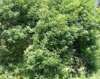 Фотография из личного архива автора