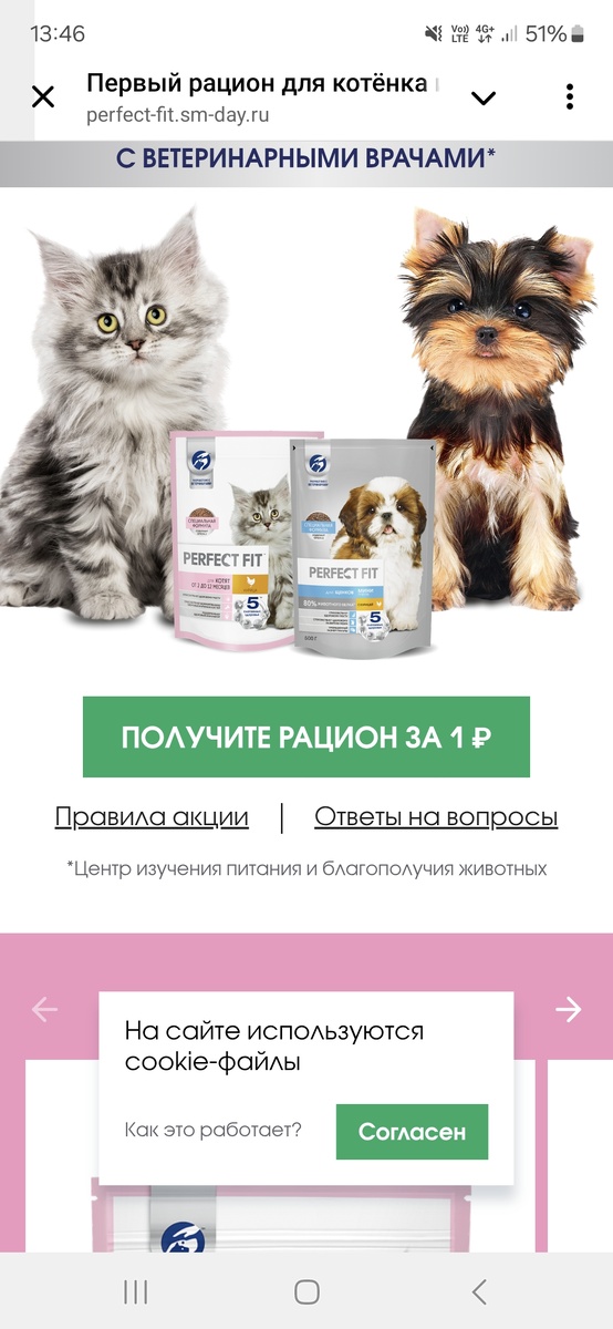 Заполнить анкетку о вас и вашем питомце