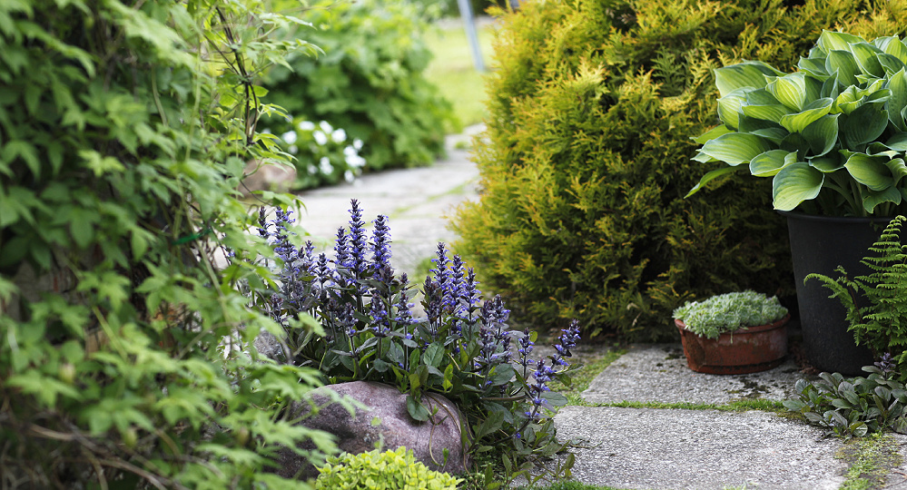 Про дорожки